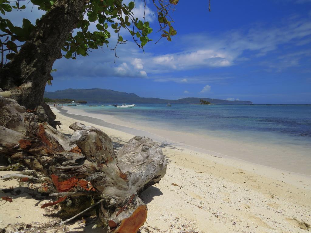 Villa Salamandra Las Galeras Exteriör bild