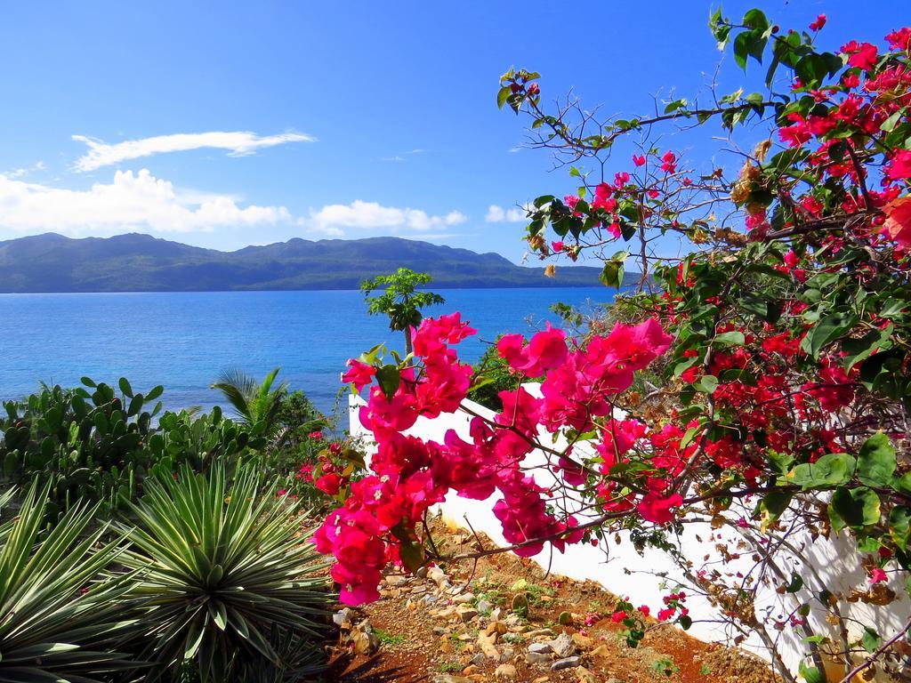 Villa Salamandra Las Galeras Exteriör bild